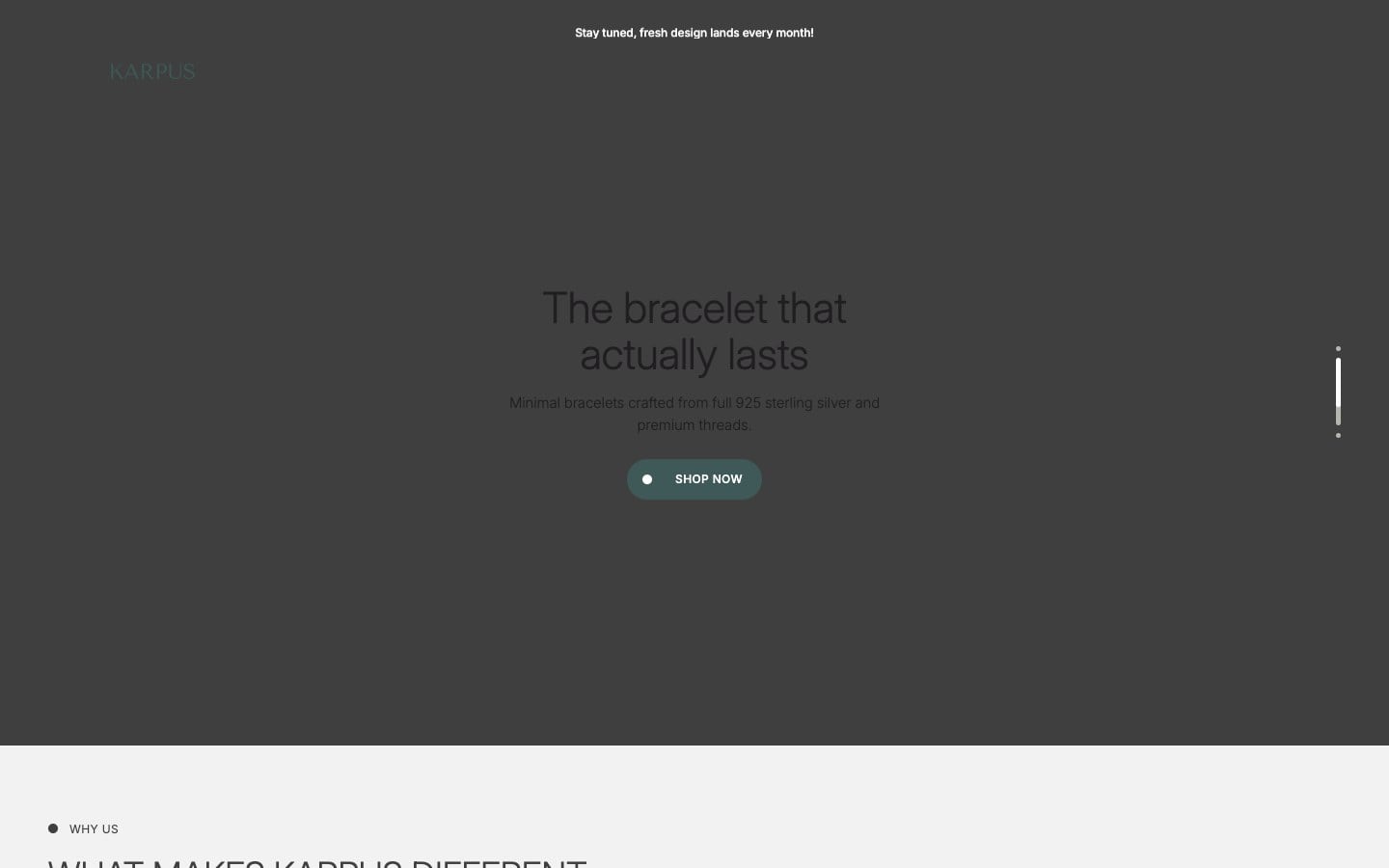 Website we built for Karpus — fashion accessories store